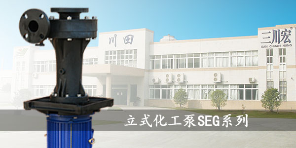 欧陆SEG立式化工泵川田大门