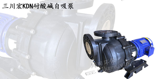 欧陆耐酸碱化工泵KDN20190807
